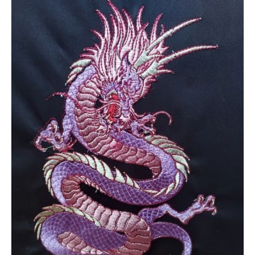 Дизайн вышивки китайскиё дракон